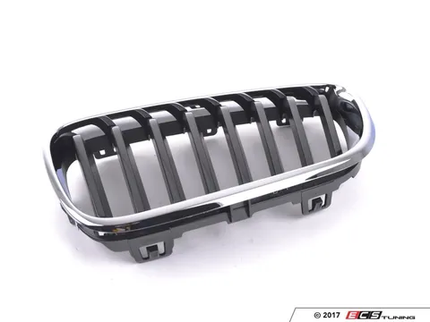 Genuine BMW F22 Front Grille - Left