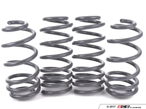 034Motorsport Dynamic+ Lowering Springs