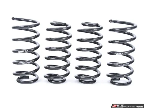 Eibach Pro-Kit Performance Springs