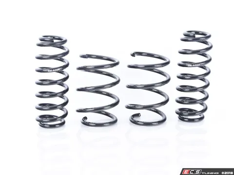 Emmanuele Design EMMOTION RS3 Linear Lowering Spring Kit