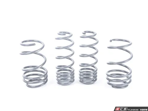 034Motorsport Dynamic+ Lowering Springs