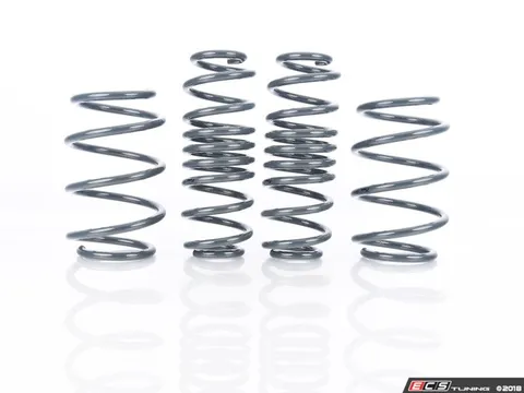 Racingline VWR Sport Springs