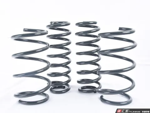 Racingline MK7 GTI VWR Sport Springs