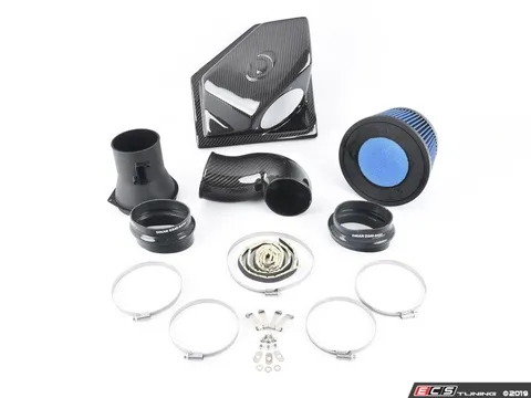 Dinan Dinan Carbon Fiber Cold Air Intake System