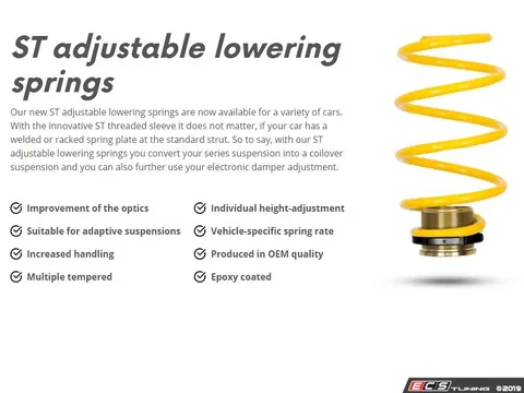 Suspension Techniques ST Adjustable Lowering Springs