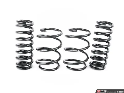 Emmanuele Design EMD Auto Lowering Spring Kit
