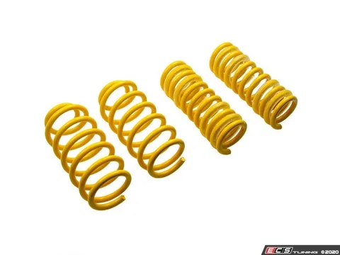 Suspension Techniques Lowering Spring Set