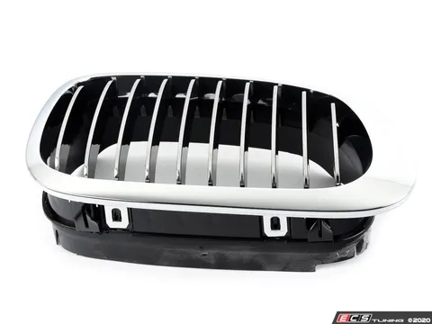 Genuine BMW Kidney Grille - Right