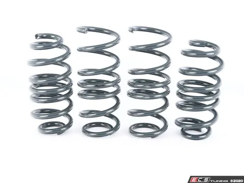 Racingline Racingline Sport Spring Set