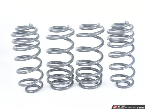 034Motorsport Dynamic+ Lowering Springs