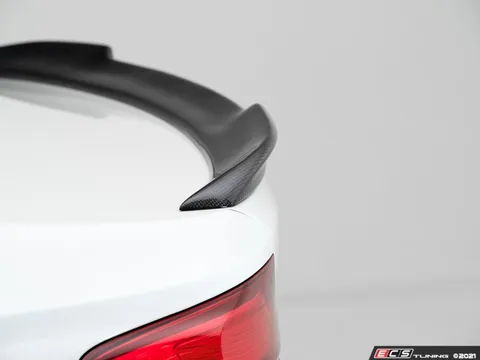 ECS Carbon Fiber Performance Rear CS Style Spoiler - F22/F87