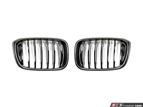 AUTOTECKNIC Replacement Carbon Fiber Front Grilles