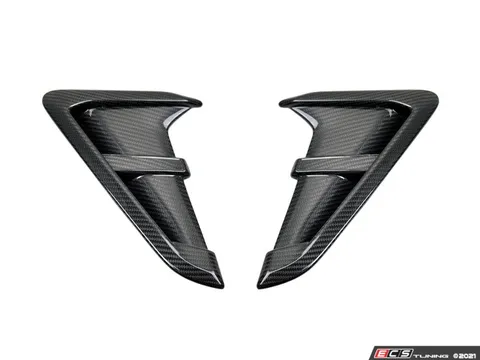 AUTOTECKNIC Replacement Carbon Fiber Fender Trim