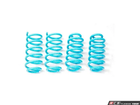 GODSPEED Traction-S Performance Lowering Springs