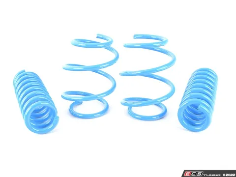 MMX Performance MMX Lowering Springs