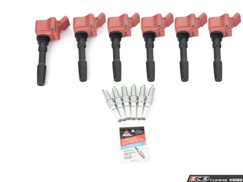 Assembled By ECS Performance Ignition Service Kit