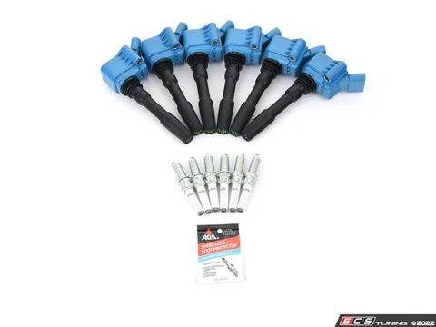 Assembled By ECS Performance Ignition Service Kit