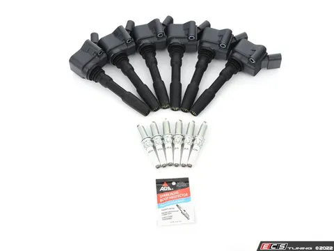 Assembled By ECS Bosch Ignition Service Kit