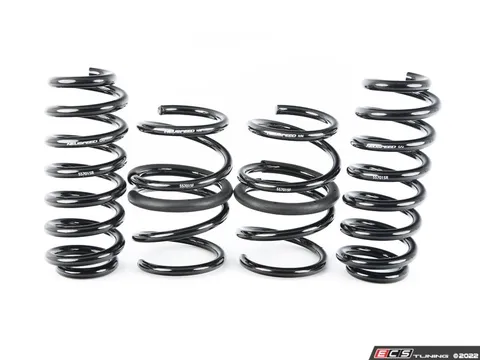 Neuspeed Sport Spring Set