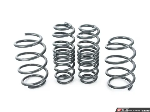 Racingline RacingLine Sport Spring Set