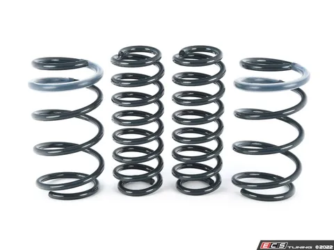 Racingline RacingLine Sport Spring Set