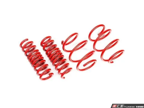 AST Suspension AST Lowering Springs