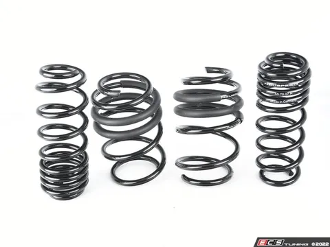 Neuspeed Sport Spring Set