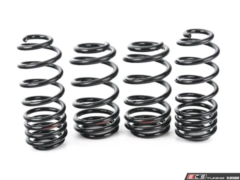 JH Motorsports S Series Lowering Springs