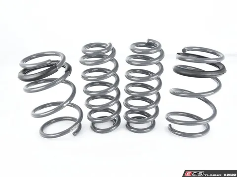 034Motorsport 034Motorsport Dynamic+ Lowering Springs