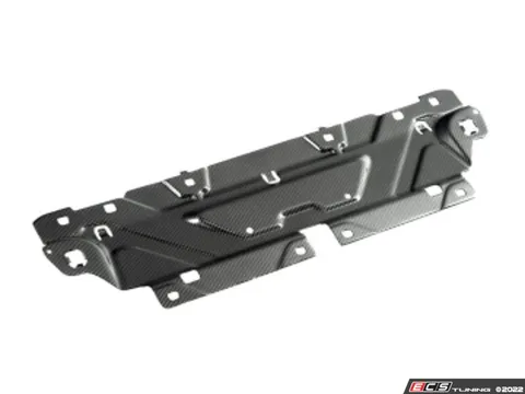 AUTOTECKNIC AutoTecknic Dry Carbon Fiber Cooling Plate - BMW G20 M340i