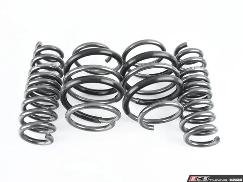 MMX Performance Lowering Spring Kit - RWD