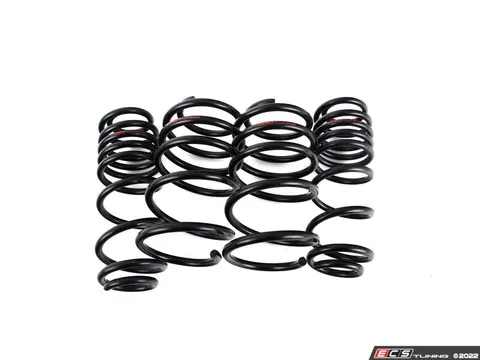 Doorbusters MK7 GTI Lowering Springs & Flush Kit Package