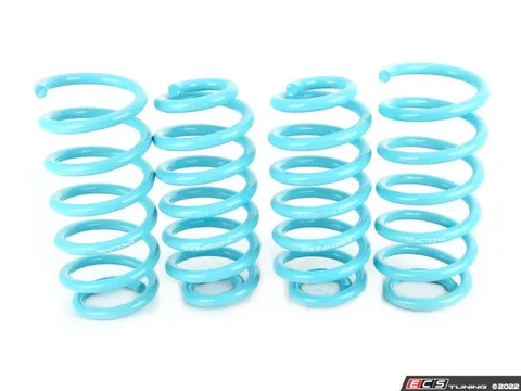 GODSPEED Traction-S Performance Lowering Springs