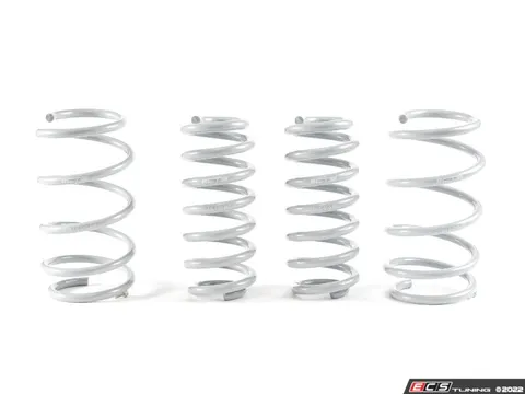 CTS CTS Lowering Spring Set - MK8 Golf R
