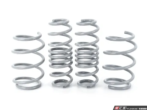 CTS CTS Lowering Spring Set - MK7 Golf R
