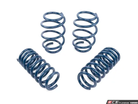 Dinan Dinan Performance Sprint Set - G01 G02