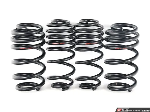 Assembled By ECS B8/B8.5 A4/S4 Lowering Springs & Installation Kit