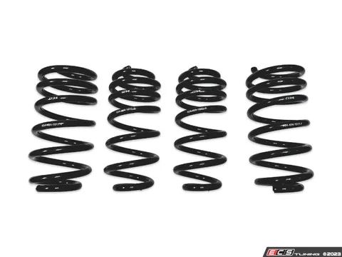 034Motorsport Dynamic+ Lowering Springs