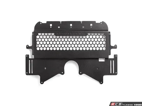 AUTOTECKNIC Dry Carbon Oil Cooler Guard - G8X