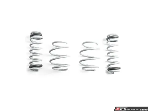 CTS CTS Turbo Lowering Springs - G80 M3/M3C