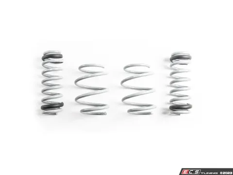 CTS CTS Turbo Lowering Springs - G82 M4/M4C