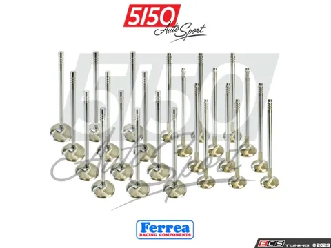 5150 Autosport Ferrea High Performance Valve Kit, BMW N55/S55