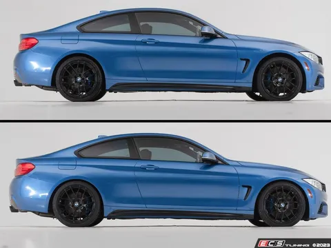 Doorbusters F30 RWD Lowering Springs With Flush Kit