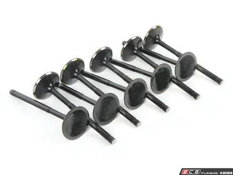 Supertech VW 2.5L 5Cyl Black Nitrided Intake Valve - Set Of 10