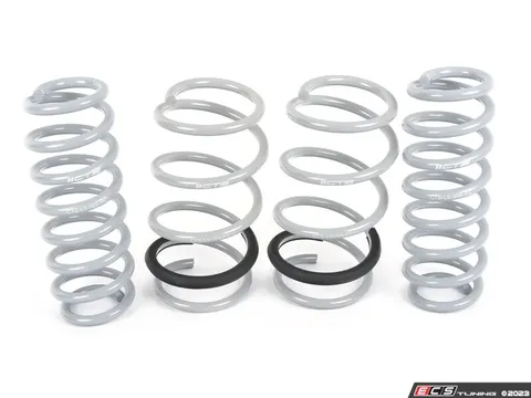 CTS CTS Lowering Spring Set - MK8 GTI