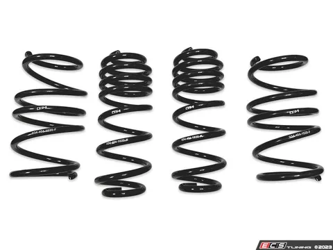 034Motorsport Dynamic+ Lowering Springs