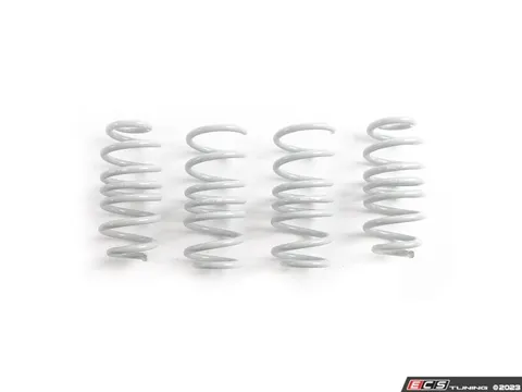 CTS Lowering Springs