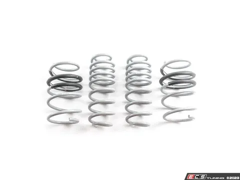 CTS Lowering Springs