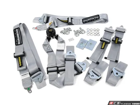 Schroth Schroth Flexi 2X2 - Silver
