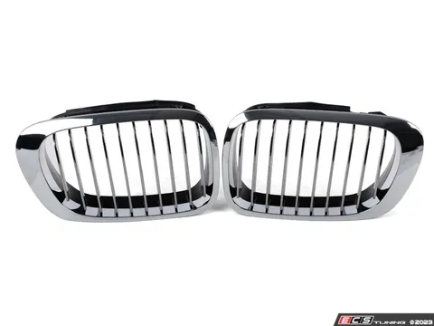Genuine BMW Kidney Grille Set